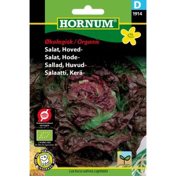 Hornum kologisk Salat, Hoved- - Merveille des quatre saisons