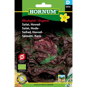 Hornum kologisk Salat, Hoved- - Merveille des quatre saisons