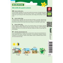 Hornum kologisk Salat, Hoved- - Merveille des quatre saisons