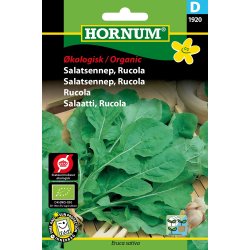Hornum kologisk Salatsennep, Rucola