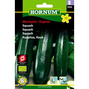 Hornum kologisk Squash - Black Beauty
