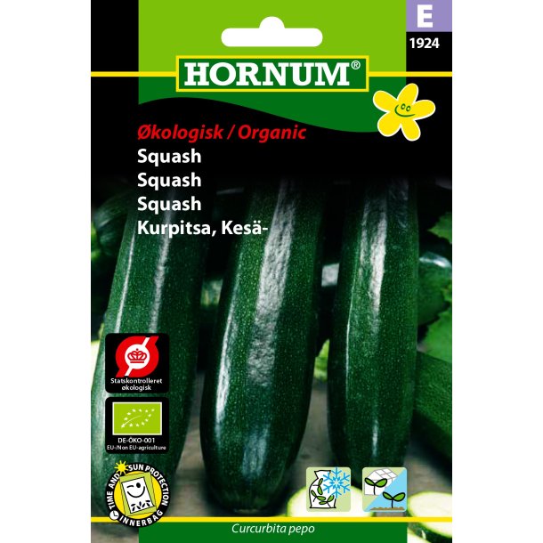Hornum kologisk Squash - Black Beauty