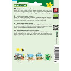 Hornum kologisk Timian