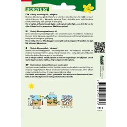 Hornum Okseje, Danish Beauty