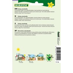 Hornum Oregano, Dost