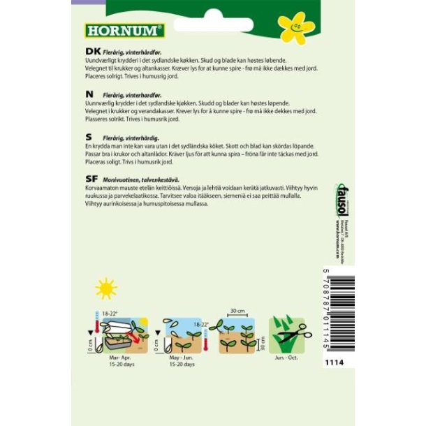 Hornum Oregano, Dost