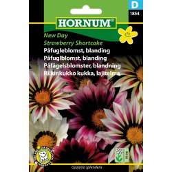 Hornum Pfugleblomst, bl., New Day Straw.S.