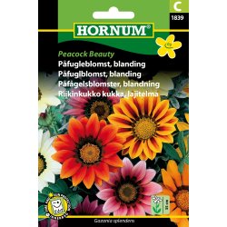 Hornum Pfugleblomst, bl., Peacock Beauty