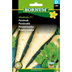 Hornum Pastinak, Gladiator