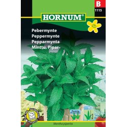Hornum Pebermynte