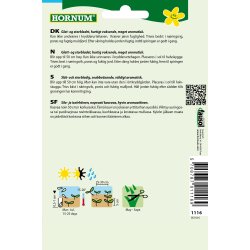 Hornum Persille, Glatbl., Gigante d'Italia