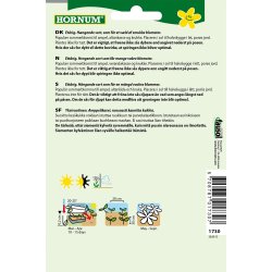 Hornum Petunia, Hnge-, Purpur Cascade