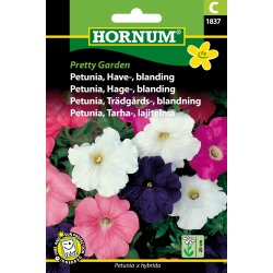 Hornum Petunia, Have-, bl., Pretty Garden