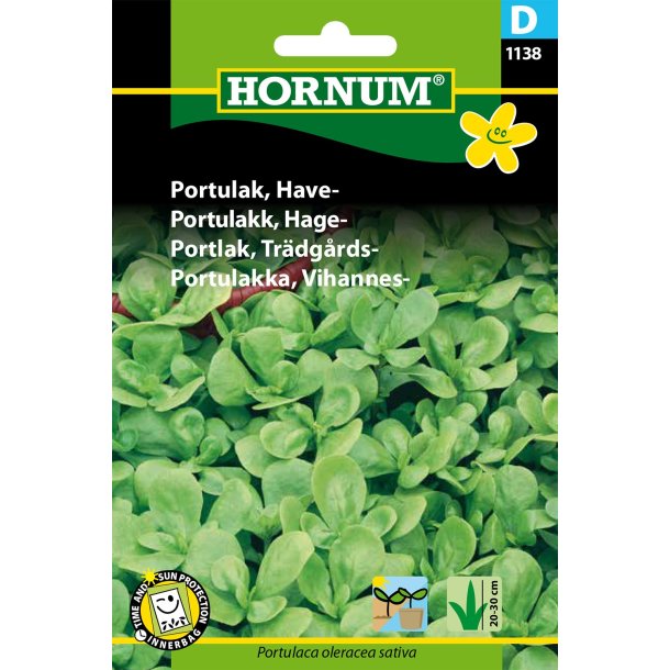 Hornum Portulak, Have-