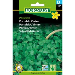 Hornum Portulak, Vinter-, Postelein