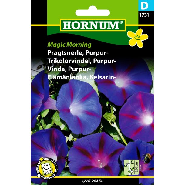 Hornum - Pragtsnerle, Purpur-, Magic Morning