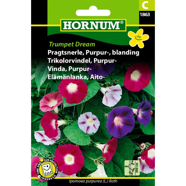 Hornum Pragtsnerle, Purpur-, bl. Trumpet D.
