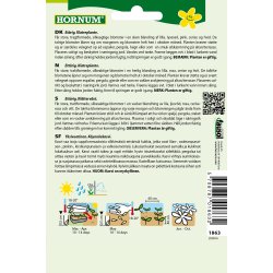 Hornum Pragtsnerle, Purpur-, bl. Trumpet D.