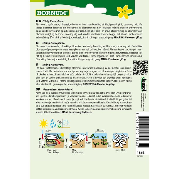 Hornum Pragtsnerle, Purpur-, bl. Trumpet D.