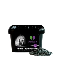Amequ Pump Them Muscels 