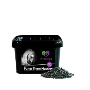 Amequ Pump Them Muscels 