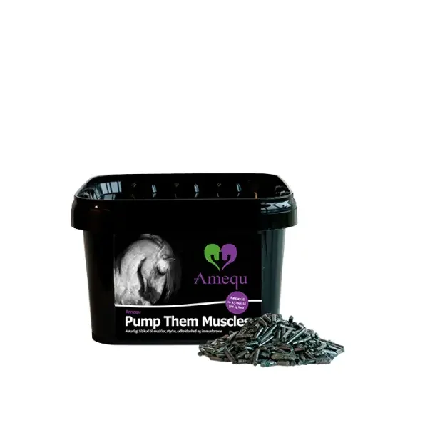 Amequ Pump Them Muscels 