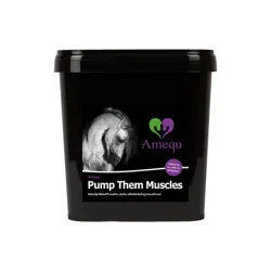 Amequ Pump Them Muscels 