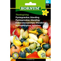 Hornum Pyntegrskar, blanding, Thanksgiving