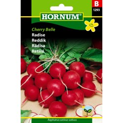 Hornum Radise, Cherry Belle