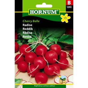 Hornum Radise, Cherry Belle