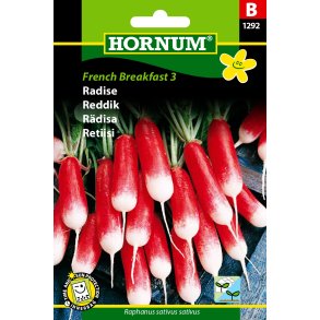 Hornum Radise, French Breakfast 3