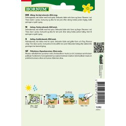 Hornum Radise, French Breakfast 3