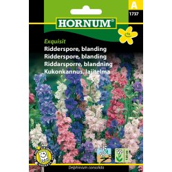 Hornum Ridderspore, blanding, Exquisit