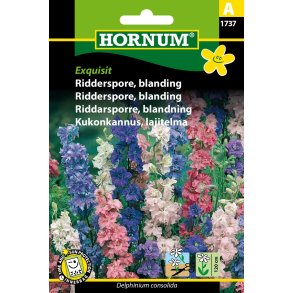Hornum Ridderspore, blanding, Exquisit