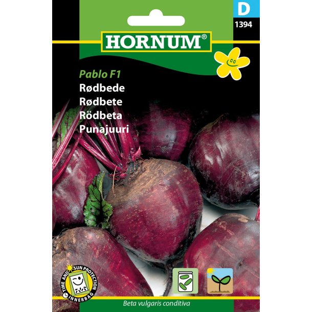 Hornum Rdbede, Detroit 2