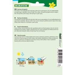 Hornum Rdbede, Detroit 2