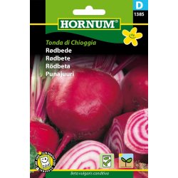 Hornum Rdbede, Tonda di Chioggia