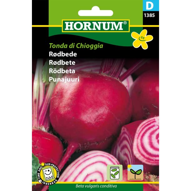 Hornum Rdbede, Tonda di Chioggia