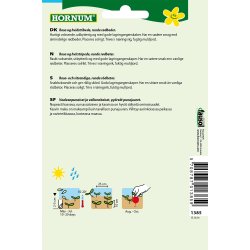 Hornum Rdbede, Tonda di Chioggia