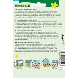 Hornum Rllike, bl., Summer Pastells