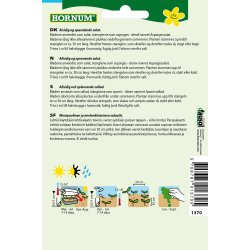 Hornum Salat, Asparges-, Celtuce