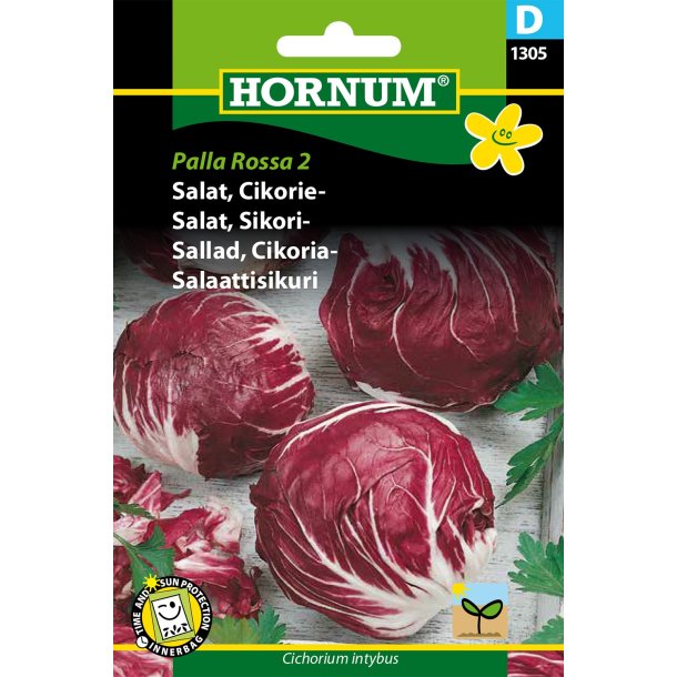 Hornum Salat, Cikorie-, Palla Rossa 2