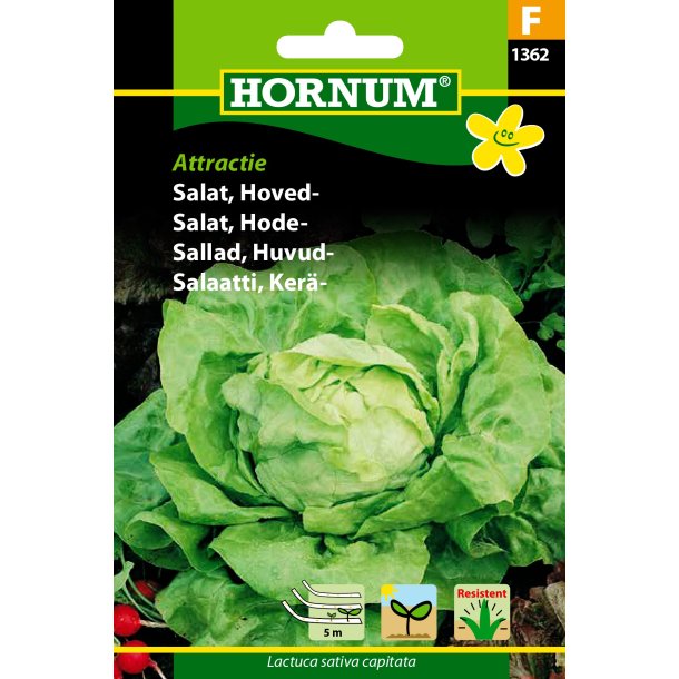 Hornum Salat, Hoved-, Attraktion