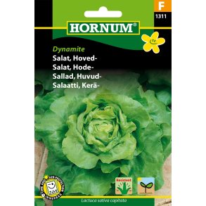 Hornum - Salat, Hoved-, Dynamite