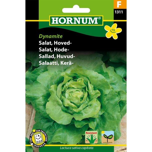Hornum - Salat, Hoved-, Dynamite