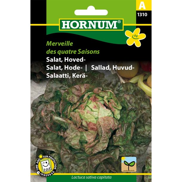 Hornum Salat, Hoved-, Merveille des q. S.
