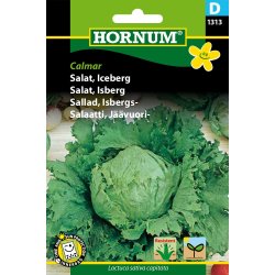 Hornum Salat, Iceberg, Calmar