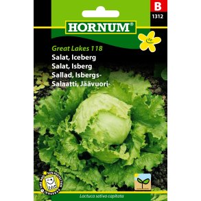 Hornum Salat, Iceberg, Great Lakes 118