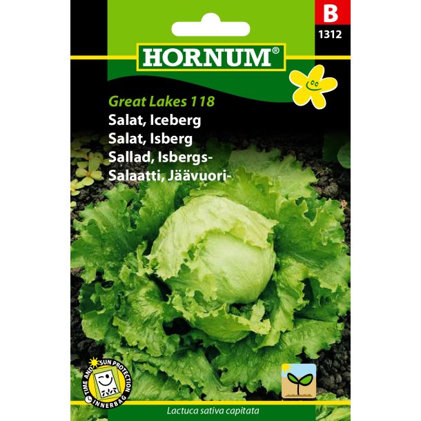 Hornum Salat, Iceberg, Great Lakes 118