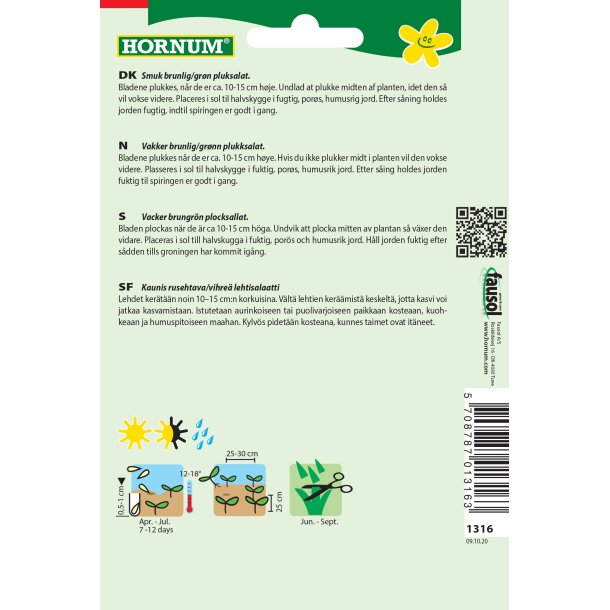 Hornum Salat, Pluk-, Amerikanischer brauner